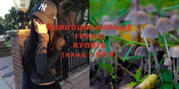 молекула духа Алзамай