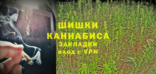 молекула духа Алзамай