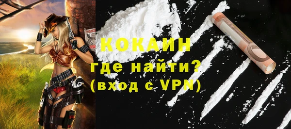 шишки Ельня