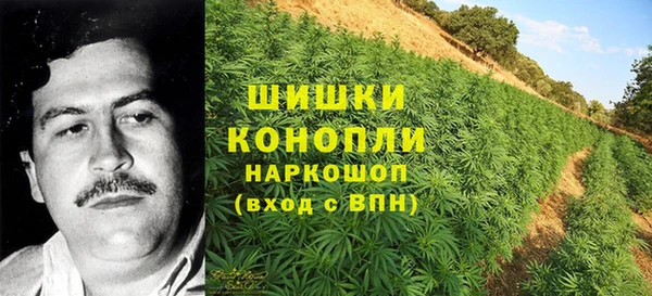 молекула духа Алзамай