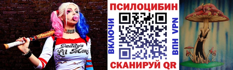 Галлюциногенные грибы Psilocybine cubensis Бокситогорск
